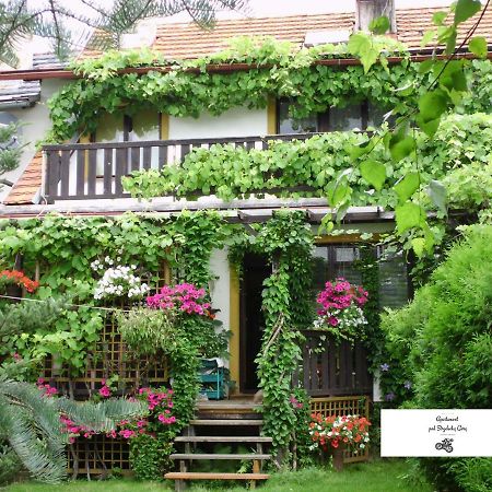 Apartament Pod Strzelecka Gora Jelenia Gora Exterior photo